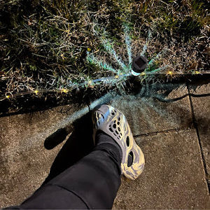 Meet your Posher, Ricky